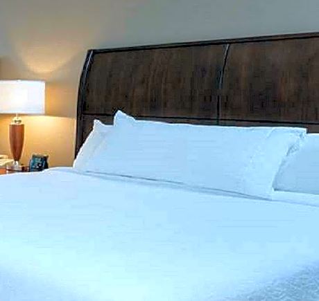 1 King Bed 1 Bedroom Suite