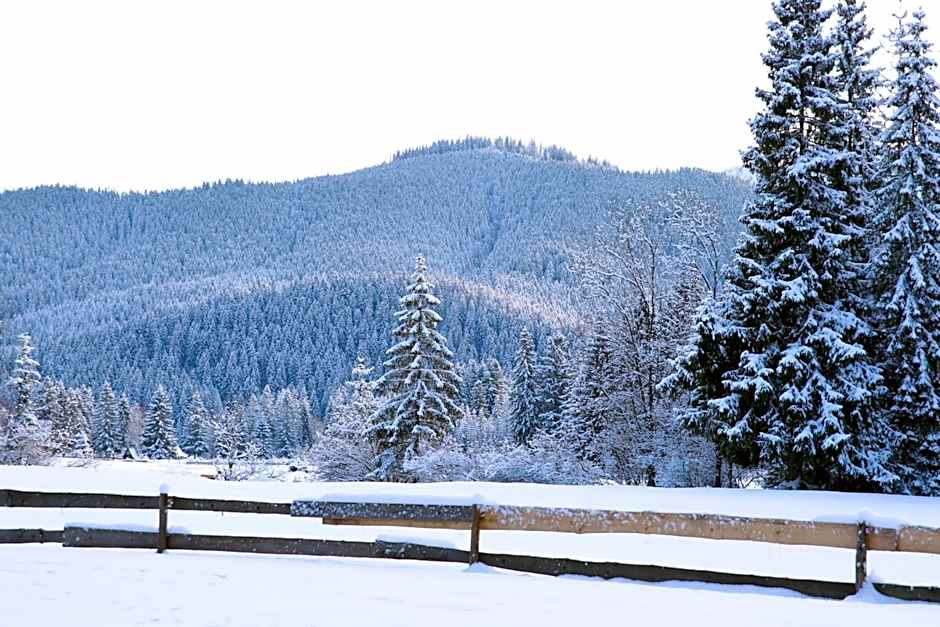 Leśniczówka u Zięby