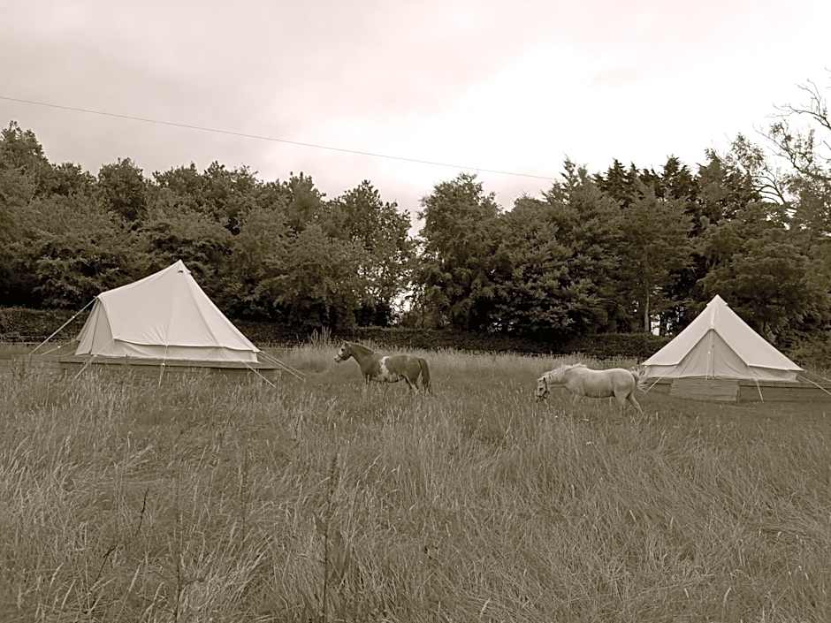 Ferry House Holidays