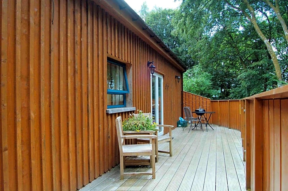 Waterfall Lodge - private waterfall and sauna