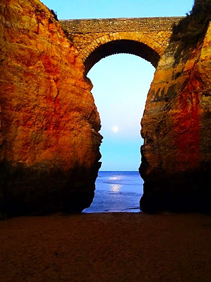 Buddha Bee - 18 to 35 years old only