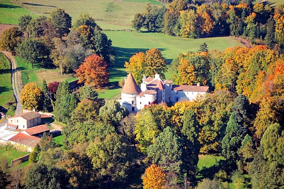 Château des Martinanches