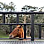 Shizuka Ryokan Japanese Country Spa & Wellness Retreat