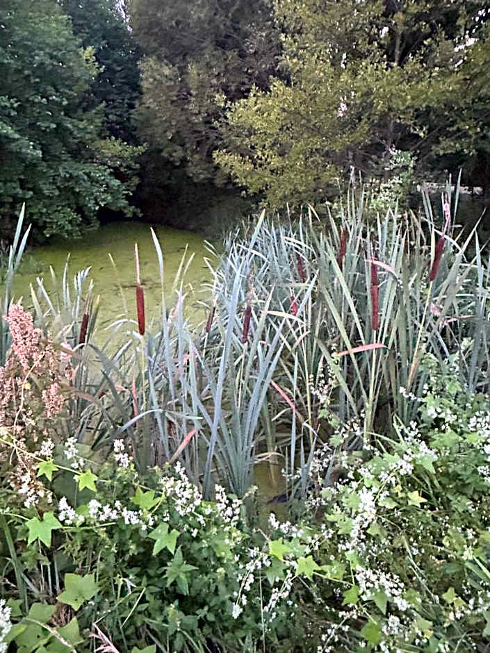 Agroturystyka Zacisze Guciów