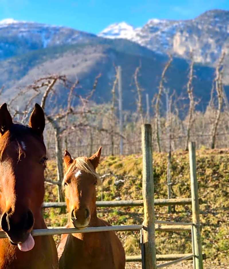 Agritur Sandro