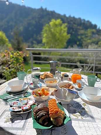 Double Room with Terrace