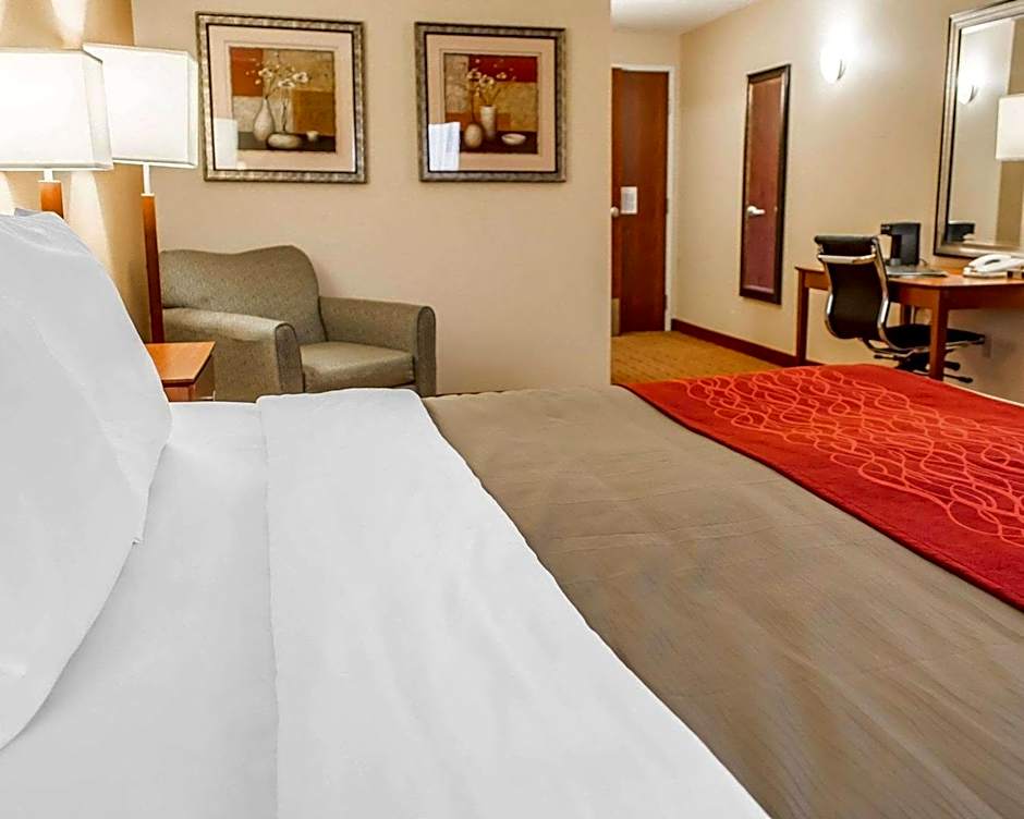 Comfort Inn & Suites Franklin East