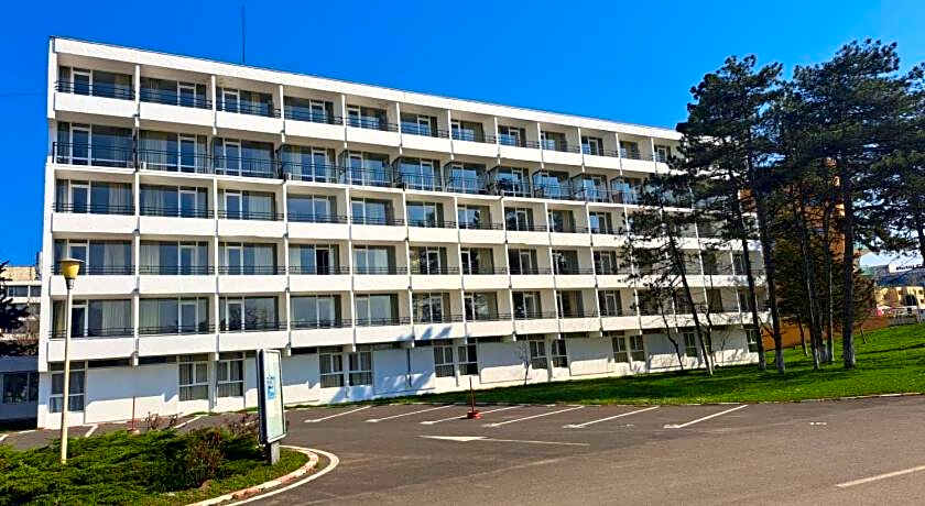 Hotel Mures