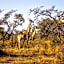 Fumani Game Lodge