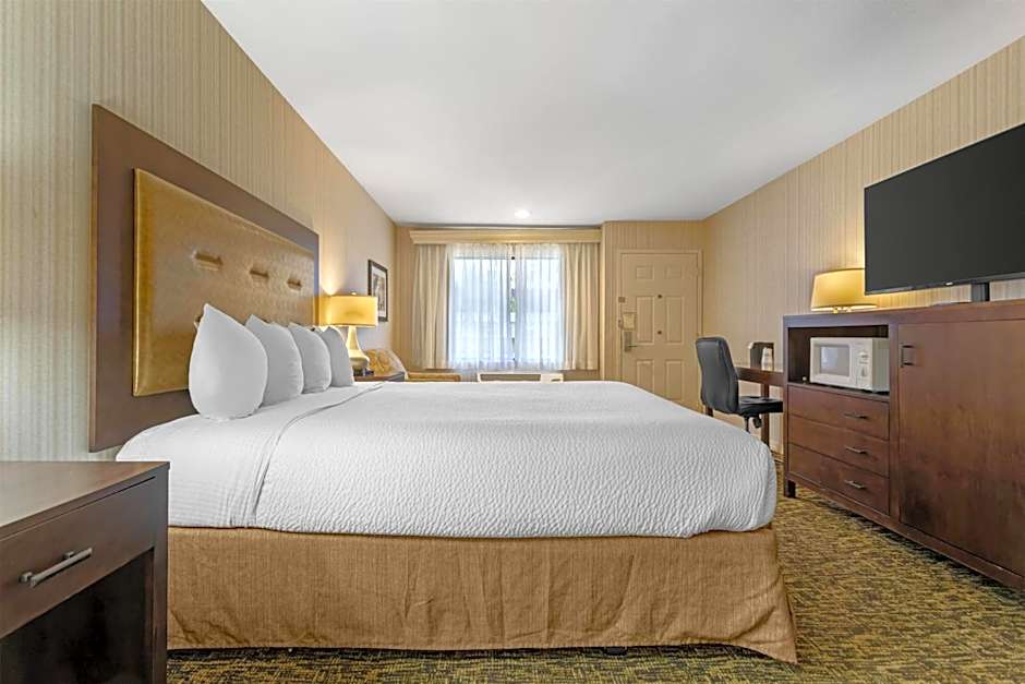 Best Western Plus Big America