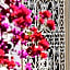 Riad Clémentine