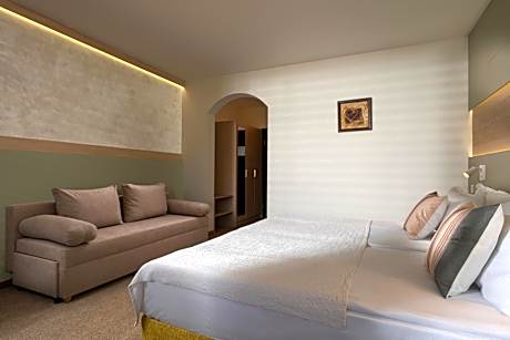 Double or Twin Room with Mountain View