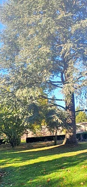 Chambres d'Hôtes des Rouets