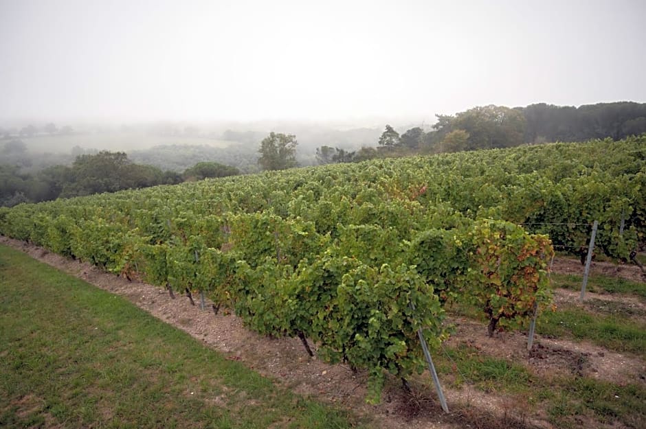 Vignoble Château Piéguë - winery