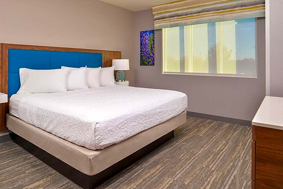 Hampton Inn By Hilton And Suites Boise/Spectrum