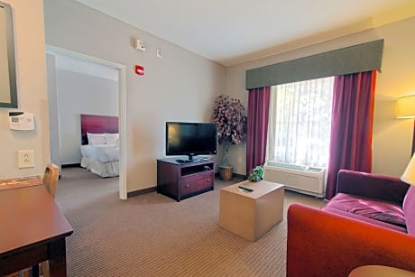 Suite King Bed Non Smoking