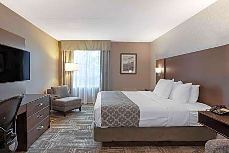 King Room with Sofa Bed