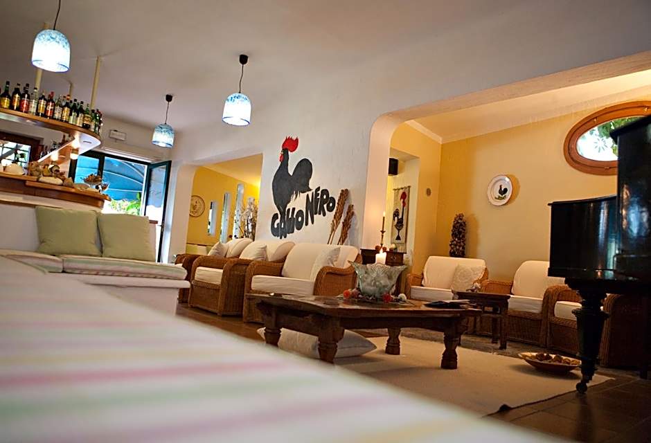 Hotel Gallo Nero
