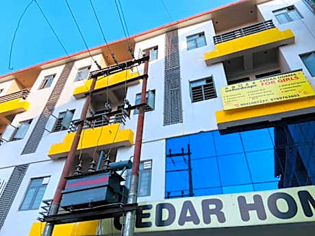 Abuzz Oxfordcaps Cedar Homes (For Females Only)