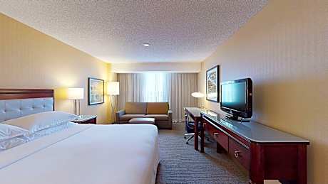 Room, 1 King Bed with Sofa bed (1 King Bed and 1 Double Sofa Bed)