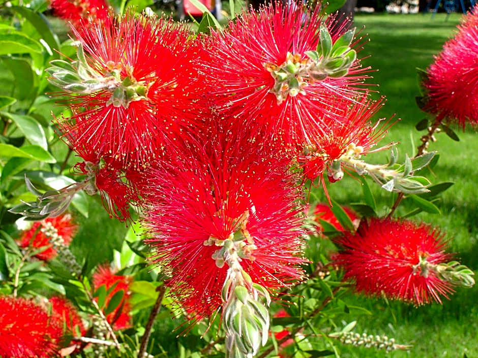 Baia Degli Aranci Suite & Apartments