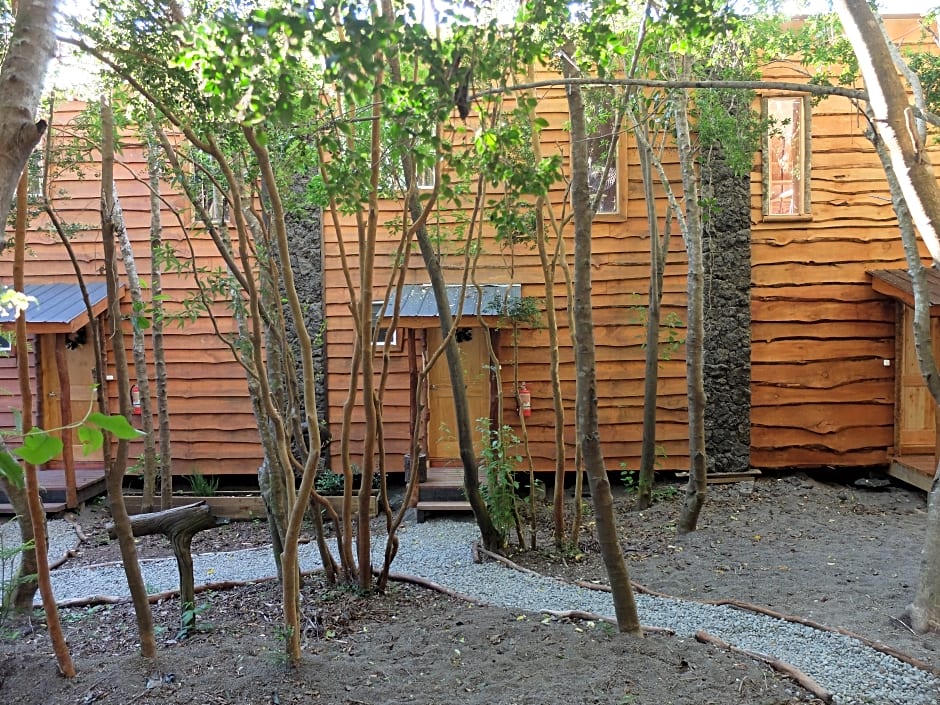 Cabañas Ensenada Bosque Nativo