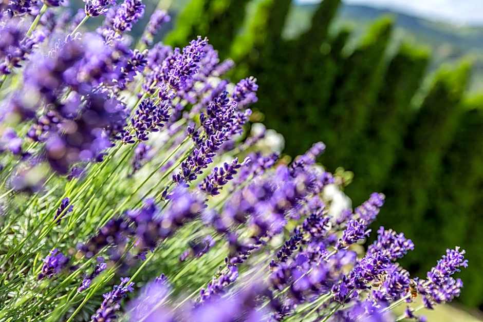 Garni - Hotel Rinner Julia