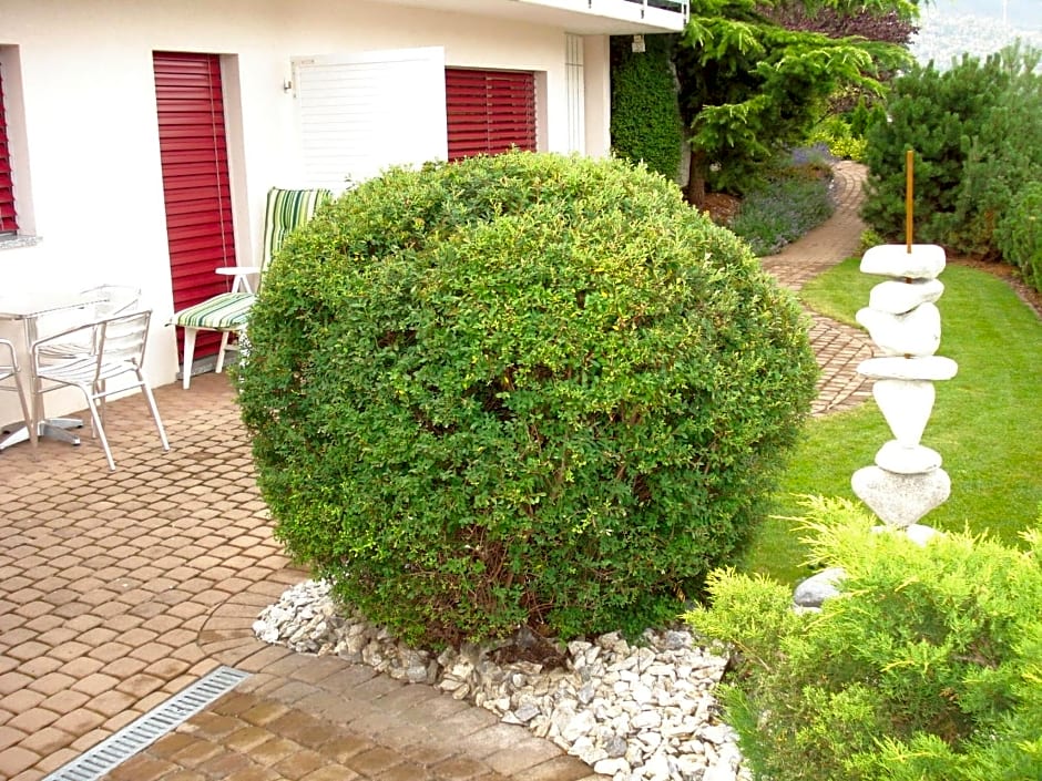 Ferienwohnung Lenggenhager Plantzette