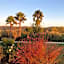 Quinta da Luz - A Luxury Boutique B&B