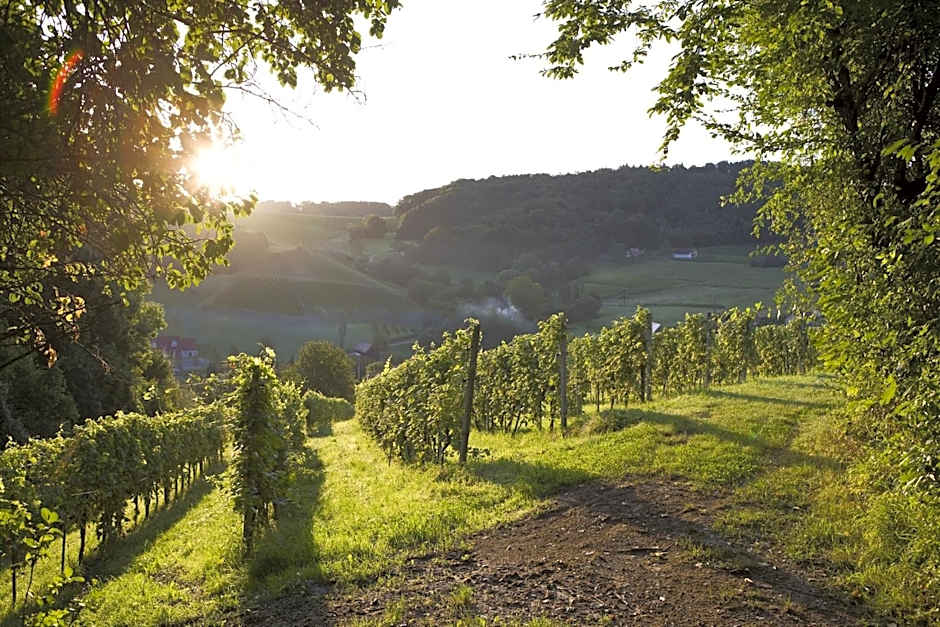 Ratscher Landhaus Wein- und Wellbeinghotel