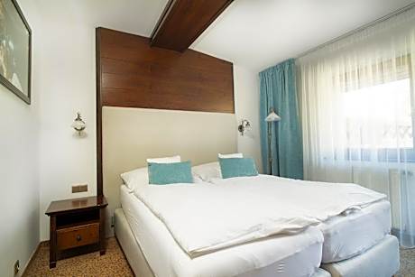 Classic Double Room with free Wellness Access