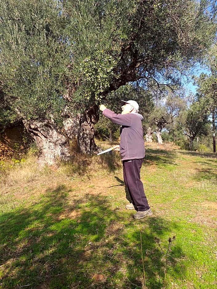 HELLAS PALACE ROOMS balcony