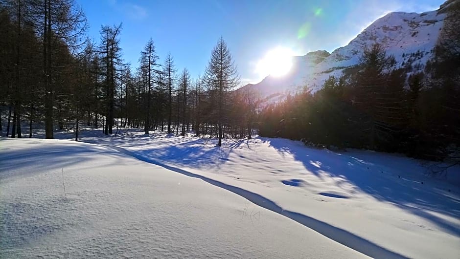 Les marmottes d Estenc