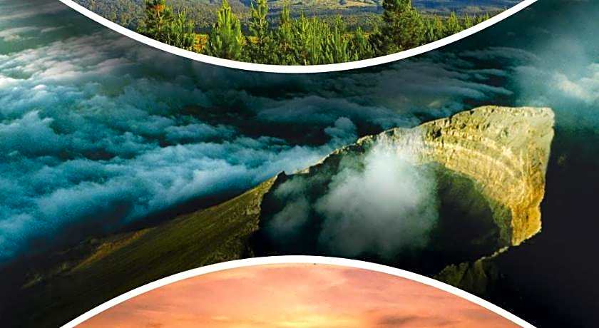 Venezia Homestay and Garden                                                                     