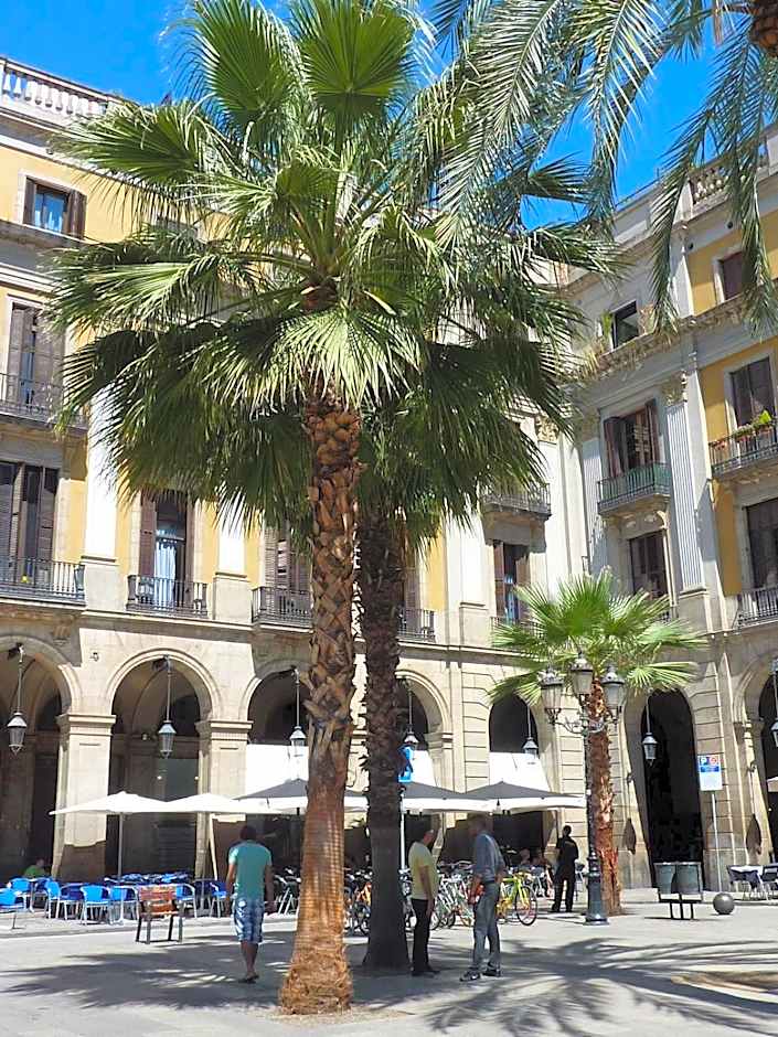Roma Reial