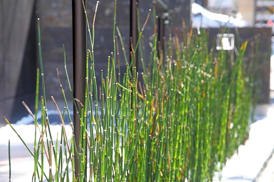 Apartment Hotel Tenjin TUMUGU / Vacation STAY 62181