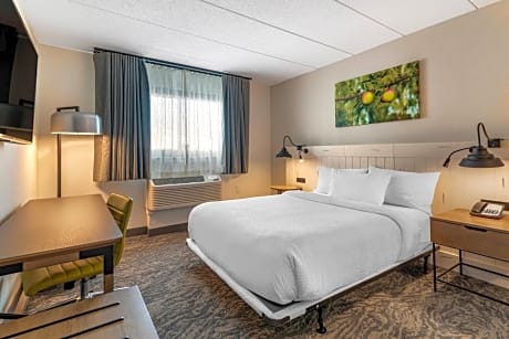 Queen Room with Roll-In Shower - Mobility Accessible