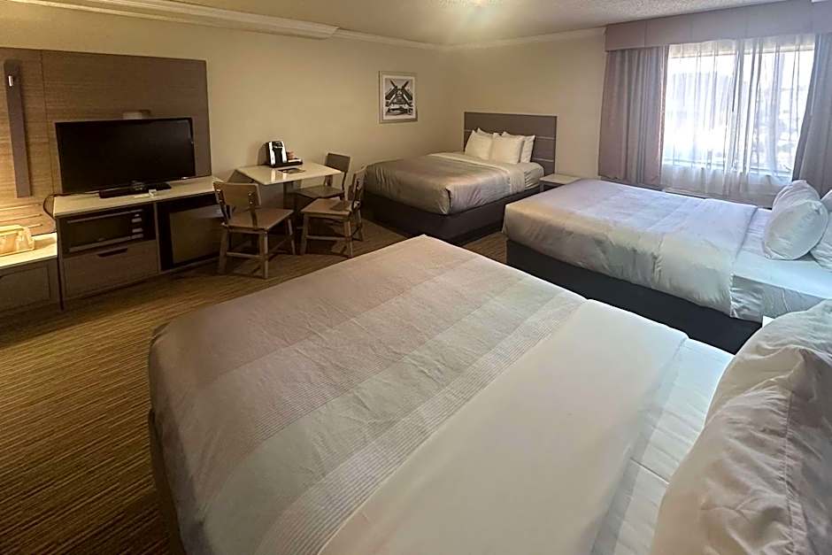 Quality Inn & Suites Los Angeles Airport - LAX