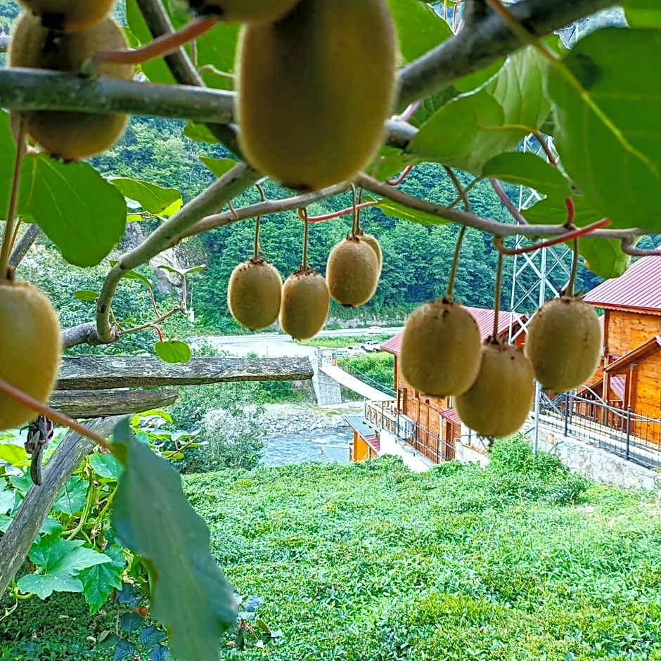 Nani Boutique Hotel & Bungalow