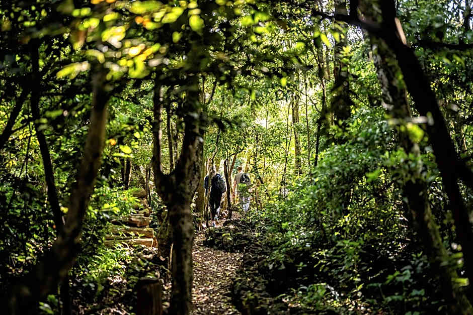 Alma do Pico - Nature Residence