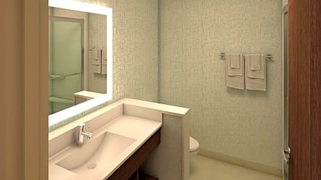 2 Bed Hearing Mobility Accessible Tub Non-Smoking