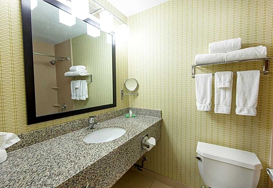 Holiday Inn Airport West Earth City By IHG