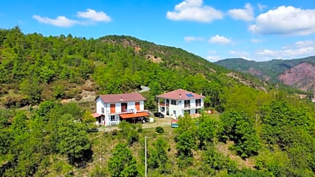 Moto Pareto B&B