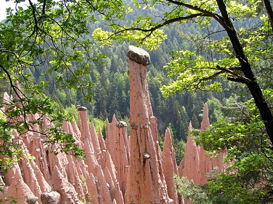 APIPURA hotel rinner