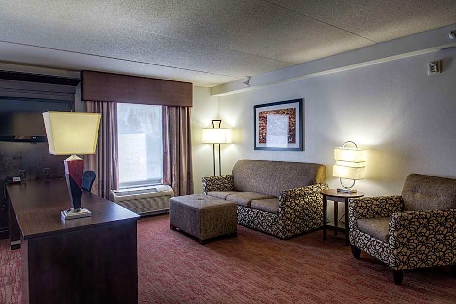 Hampton Inn By Hilton And Suites Detroit/Airport-Romulus