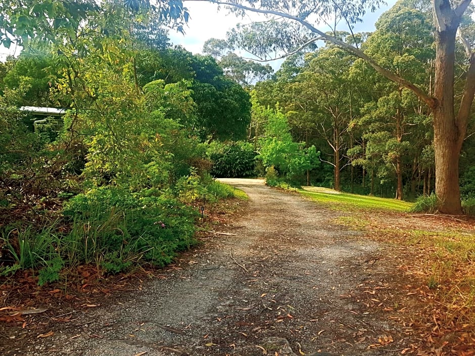 Forest view bungalow