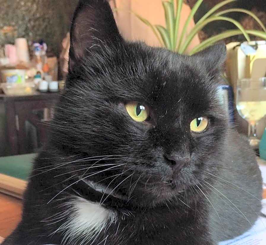 The Black Mountain Inn