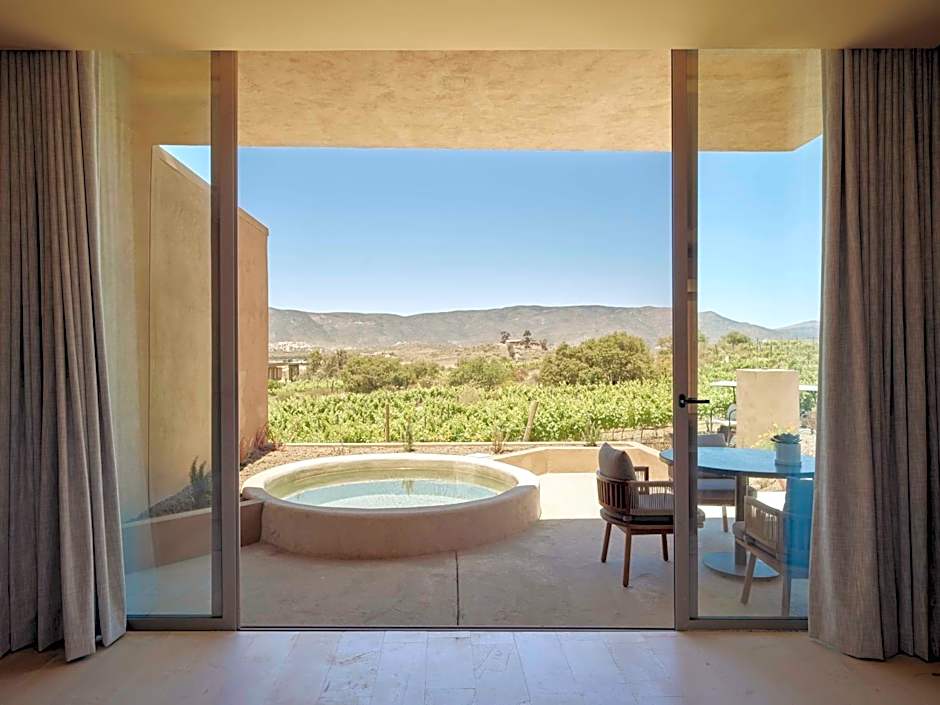 Banyan Tree Veya, Valle de Guadalupe