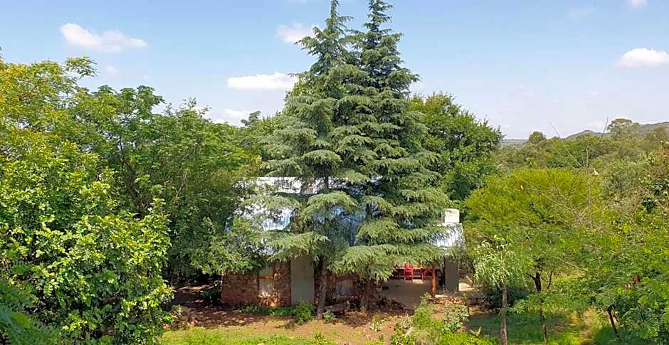 Little Forest Farm