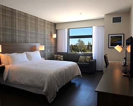 King Room with Sofa Bed - Non-Smoking